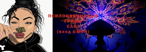 амф Каменногорск