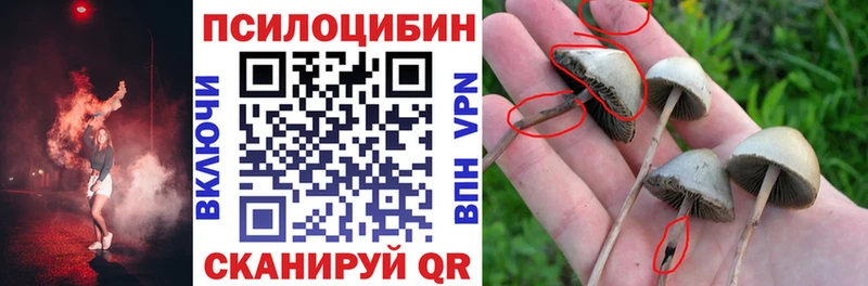 Купить где  Корсаков  Галлюциногенные грибы Cubensis 